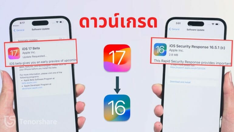 ดาวน์เกรด iOS 17 กลับไปยัง iOS 16 โดยใช้ Tenorshare ReiBoot หรือ iTunes: การเปรียบเทียบวิธีดาวน์เกรดและเลือกช่องทางที่เหมาะสม  3